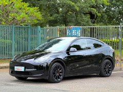 Tesla Model Y Rear-Wheel Drive - ფოტო 1