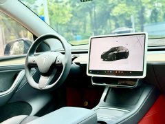 Tesla Model Y Rear-Wheel Drive - ფოტო 14