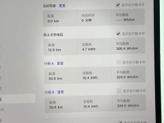 Tesla Model Y Rear-Wheel Drive - ფოტო 19
