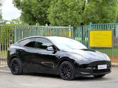 Tesla Model Y Rear-Wheel Drive - ფოტო 3