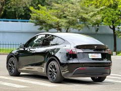 Tesla Model Y Rear-Wheel Drive - ფოტო 4