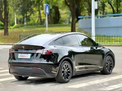 Tesla Model Y Rear-Wheel Drive - ფოტო 6