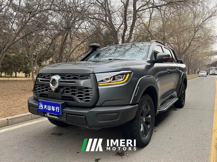 Tesla Poer 2021 2.0T Off-Road Edition Automatic Petrol 4WD Mount Everest Edition GW4C20B - car from China