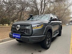 Tesla Poer 2021 2.0T Off-Road Edition Automatic Petrol 4WD Mount Everest Edition GW4C20B - photo 1