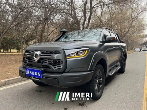 2022 Tesla Poer 2021 2.0T Off-Road Edition Automatic Petrol 4WD Mount Everest Edition GW4C20B - ავტომობილი ჩინეთიდან