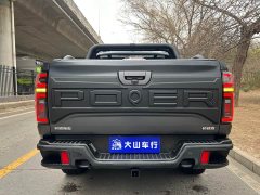 Tesla Poer 2021 2.0T Off-Road Edition Automatic Petrol 4WD Mount Everest Edition GW4C20B - photo 5