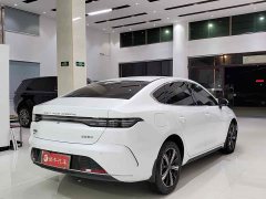 BYD Destroyer 05 2023 Champion Edition DM-i 120KM Luxury - photo 11