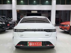 BYD Destroyer 05 2023 Champion Edition DM-i 120KM Luxury - photo 12