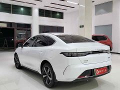 BYD Destroyer 05 2023 Champion Edition DM-i 120KM Luxury - photo 13