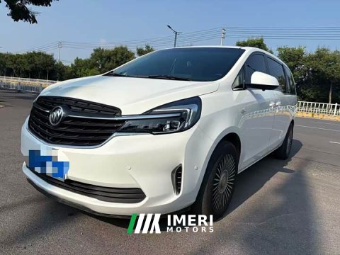 2021 Buick GL8 Land Business Class 652T Comfort - ავტომობილი ჩინეთიდან