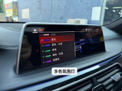 BMW 7 Series 2021 730Li M Sport Package - ფოტო 19