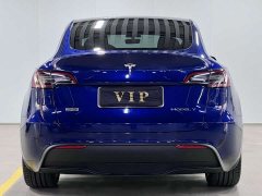 Tesla Model Y Rear-Wheel Drive - ფოტო 6