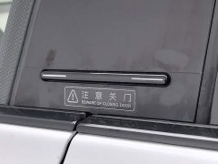 HiPhi X Flagship 6-Seater - ფოტო 18