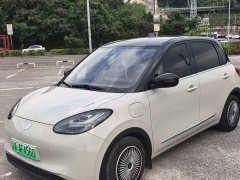 Wuling Binguo 333km Joy Edition - ფოტო 1