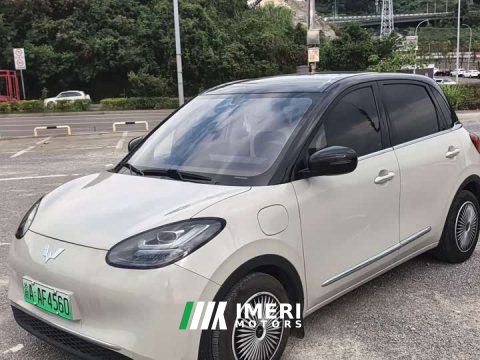 2024 Wuling Binguo 333km Joy Edition - ავტომობილი ჩინეთიდან