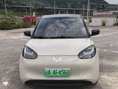 Wuling Binguo 333km Joy Edition - ფოტო 2