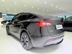 Tesla Model Y 2023 Rear-Wheel Drive - ფოტო 4