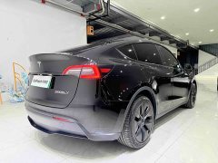 Tesla Model Y 2023 Rear-Wheel Drive - ფოტო 6