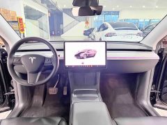 Tesla Model Y 2023 Rear-Wheel Drive - ფოტო 8