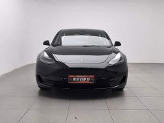 Tesla Model 3 Standard Range RWD Upgrade 3D6 - ფოტო 3