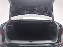 Volkswagen Passat 280TSI Business Edition - ფოტო 16