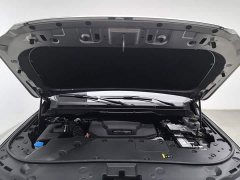 Tank 500 New Energy Hi4-T - ფოტო 6