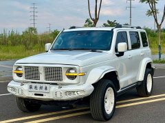 Tank 300 2024 2.0T Explorer - ფოტო 1