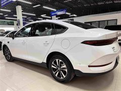 BYD Qin PLUS DM-i 210KM Beyond Edition - ფოტო 4