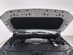 Tank 500 3.0T Sport Landscape Edition 5-Seater - ფოტო 6