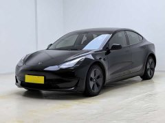 Tesla Model 3 Rear-Wheel Drive - ფოტო 1