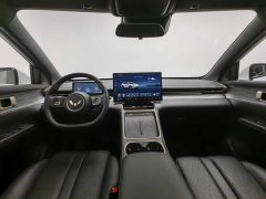 Wuling Starlight S 2024 130km Flagship - ფოტო 5