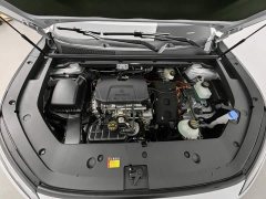 Wuling Starlight S 2024 130km Flagship - ფოტო 6