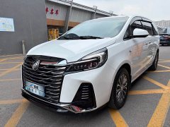 Buick GL8 Land Executive Cabin Premium - ფოტო 3
