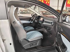 Chery Ant Facelift 150,000 Ant Fans Edition Ant Tide Version LFP Battery - ფოტო 7