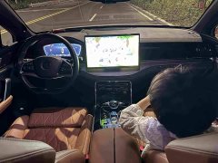 BYD Yuan Plus DM-i 215KM 4WD Deluxe Edition - ფოტო 8