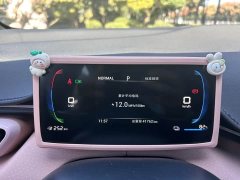 BYD Seagull Glory Edition 305km Freedom Version - ფოტო 10