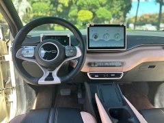 BYD Seagull Glory Edition 305km Freedom Version - ფოტო 13