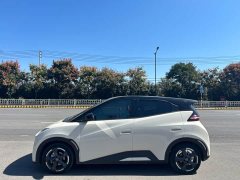 BYD Seagull Glory Edition 305km Freedom Version - ფოტო 2