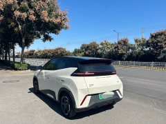 BYD Seagull Glory Edition 305km Freedom Version - ფოტო 3