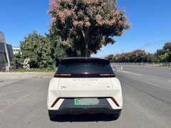 BYD Seagull Glory Edition 305km Freedom Version - ფოტო 4