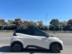 BYD Seagull Glory Edition 305km Freedom Version - ფოტო 6