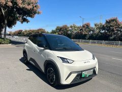 BYD Seagull Glory Edition 305km Freedom Version - ფოტო 7