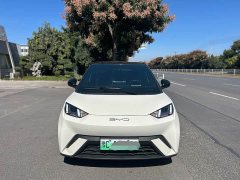 BYD Seagull Glory Edition 305km Freedom Version - ფოტო 8