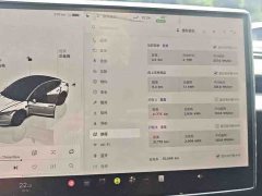 Tesla Model 3 Rear-Wheel Drive - ფოტო 10