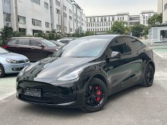 Tesla Model Y Rear-Wheel Drive - ფოტო 1