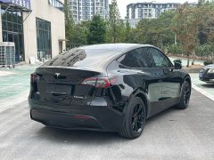 Tesla Model Y Rear-Wheel Drive - ფოტო 11