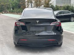 Tesla Model Y Rear-Wheel Drive - ფოტო 12