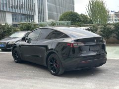 Tesla Model Y Rear-Wheel Drive - ფოტო 13