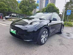 Tesla Model Y 2022 Facelift Rear-Wheel Drive - ფოტო 1