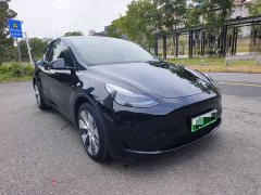 Tesla Model Y 2022 Facelift Rear-Wheel Drive - ფოტო 2